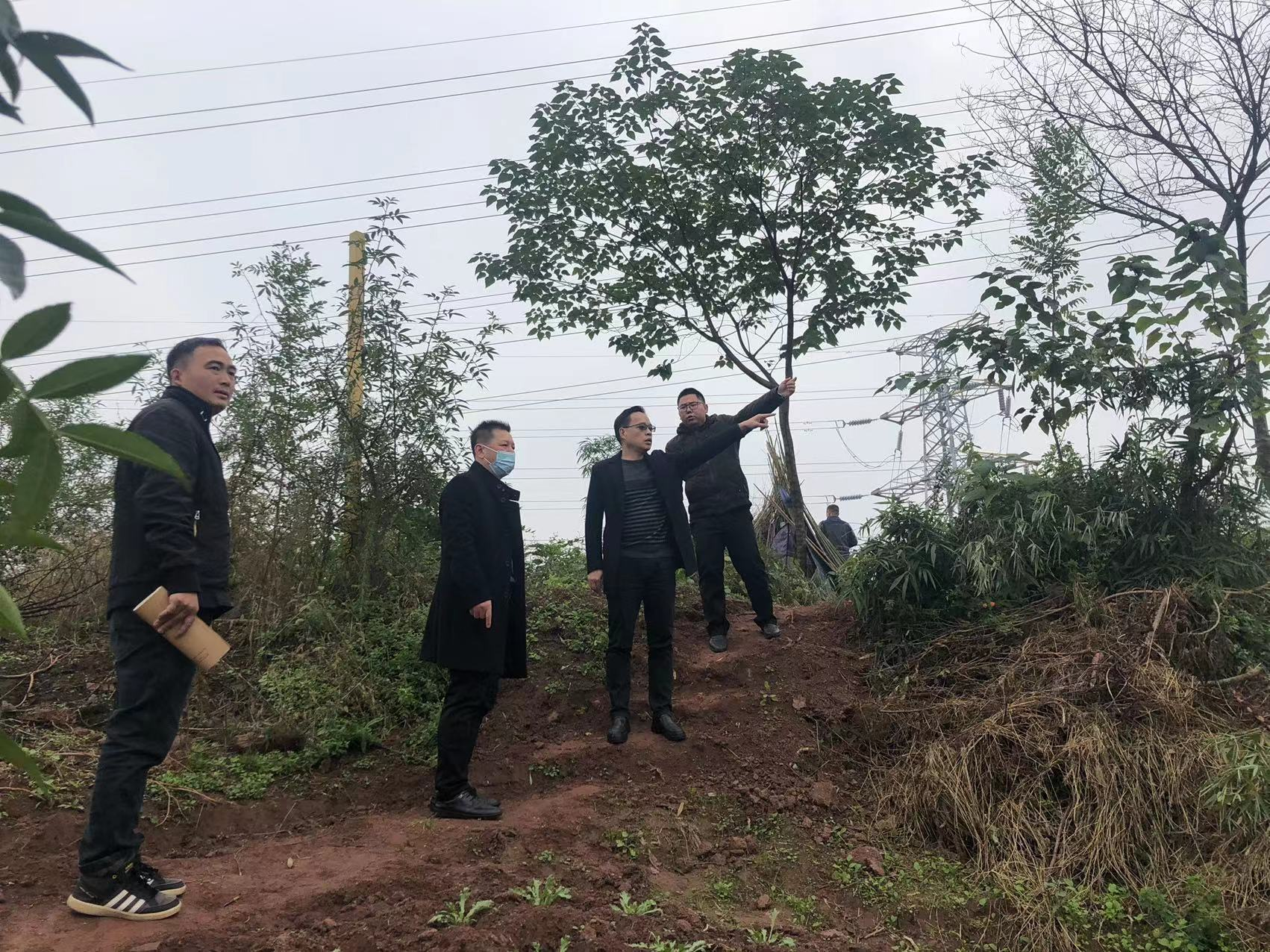 图片2.png 图片2.png