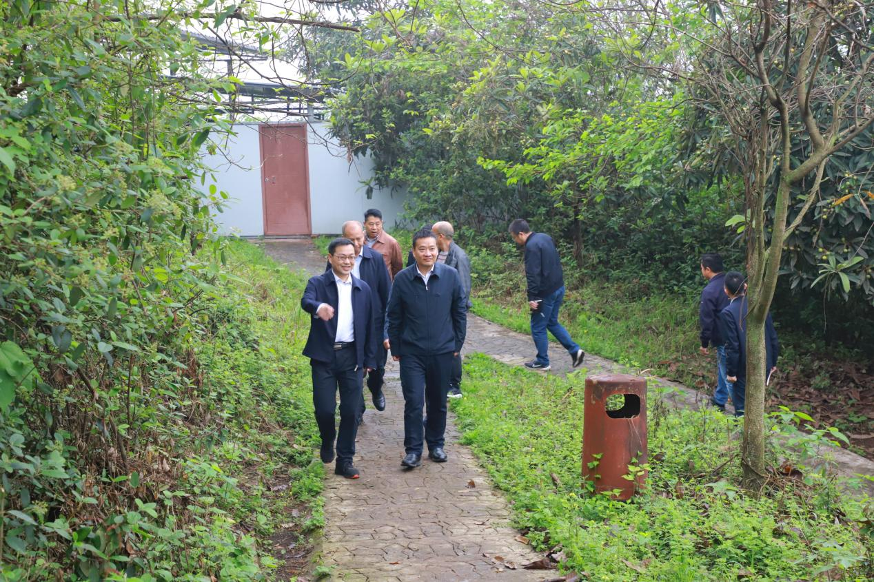 图片 1.png 图片 1.png